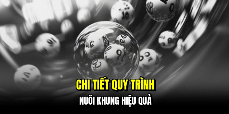 Mẹo Nuôi Lô Khung - Cách Nuôi Dàn Bất Bại Giúp Bạn Đổi Đời 6 Chi tiết quy trình nuôi khung hiệu quả