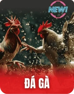 đá gà c168 238x300