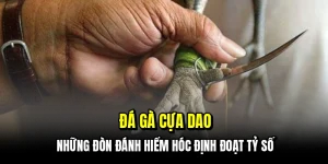 Đá gà cựa dao - Những đòn đánh hiểm hóc định đoạt tỷ số